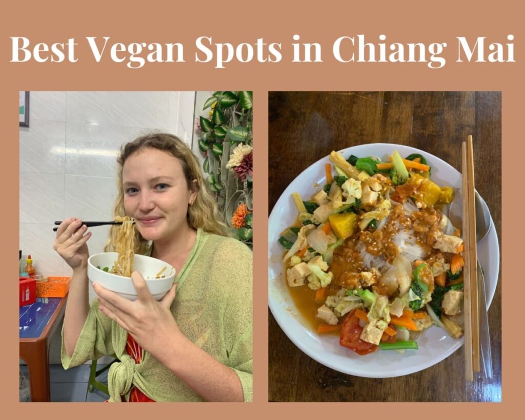 vegan spots in chiang mai 