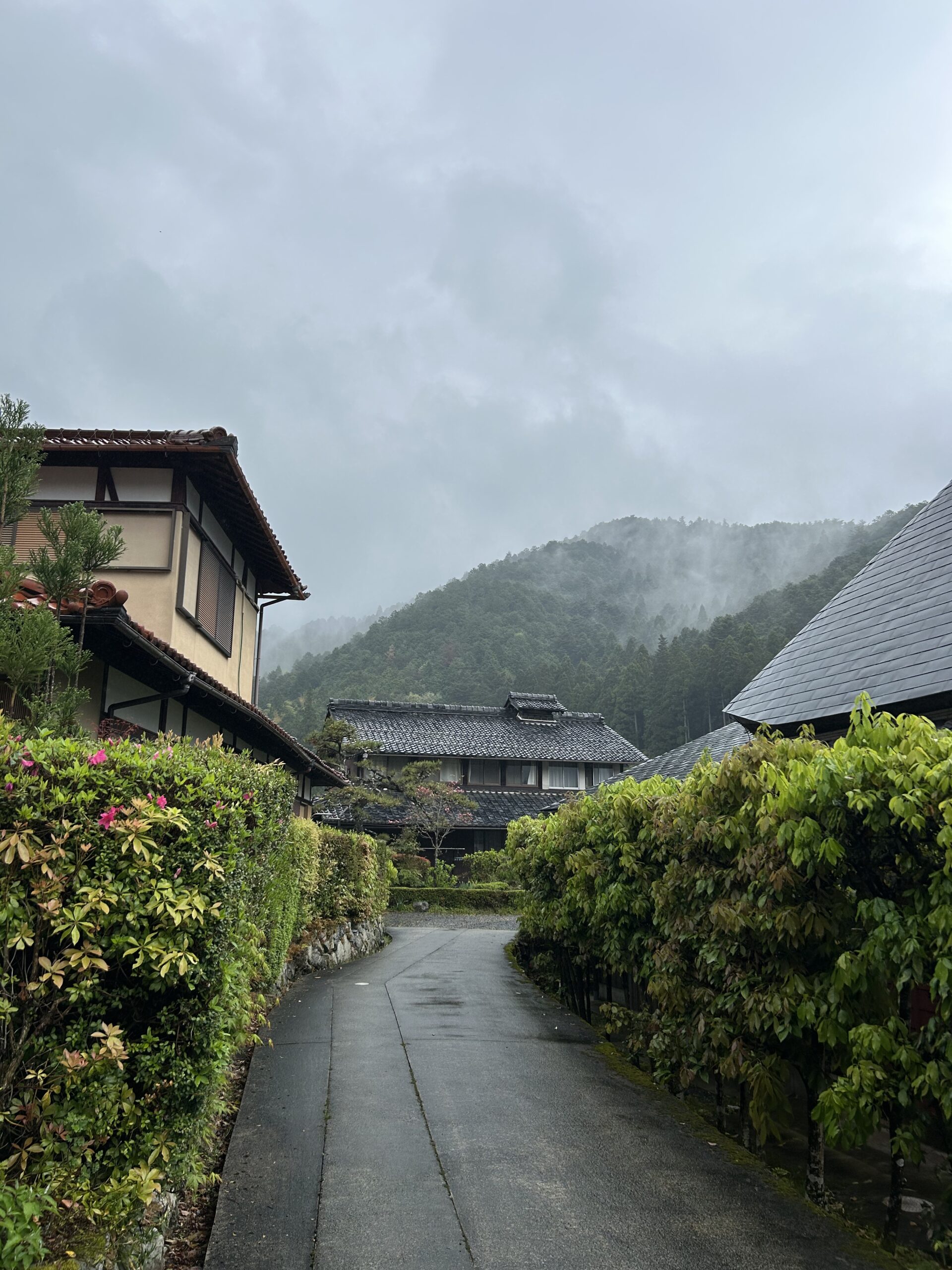 sanzen-in temple