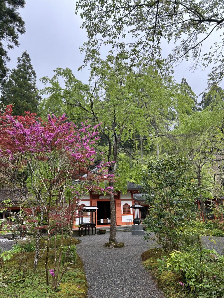 sanzen-in temple