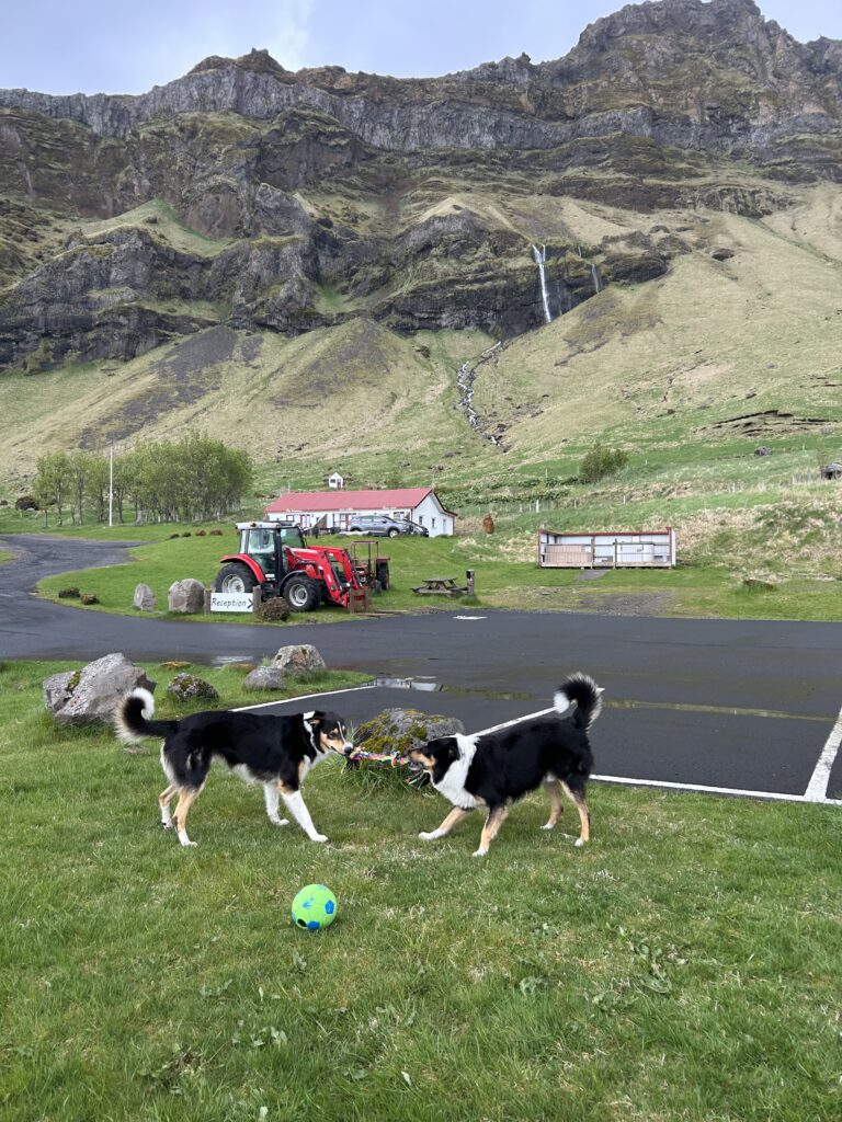 7 day iceland road trip itinerary 