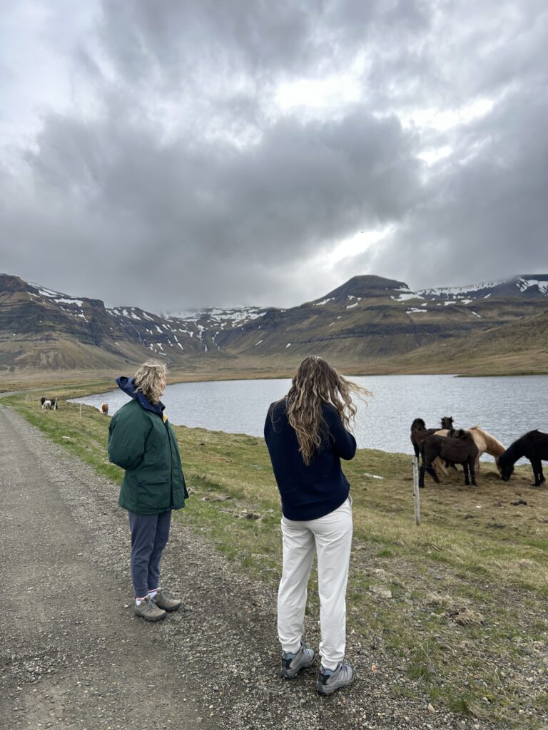 7 day iceland road trip itinerary 