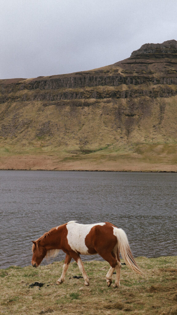 I wish I knew before traveling to iceland