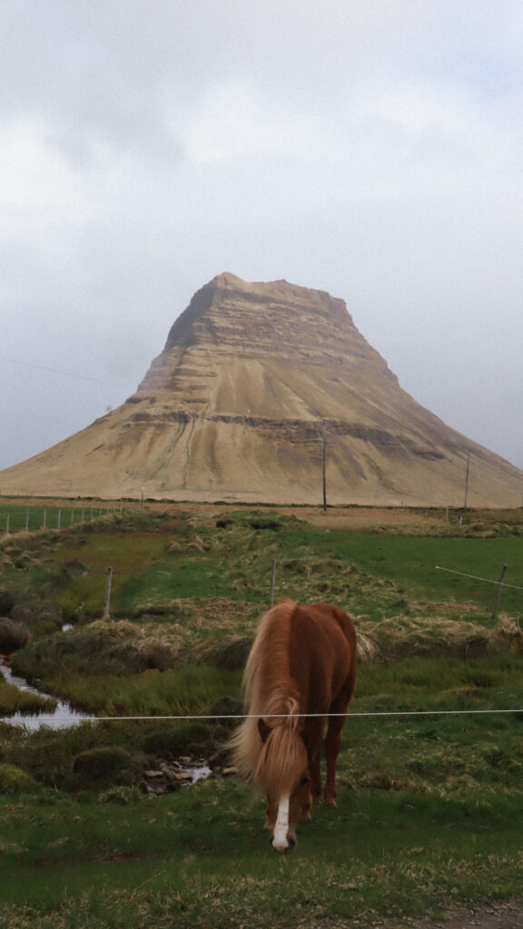 I wish I knew before traveling to iceland