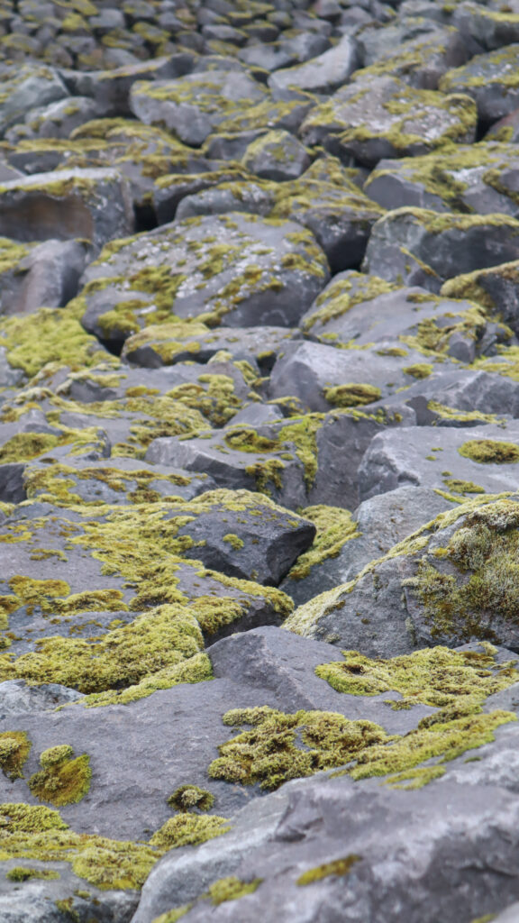 I wish I knew before traveling to iceland
